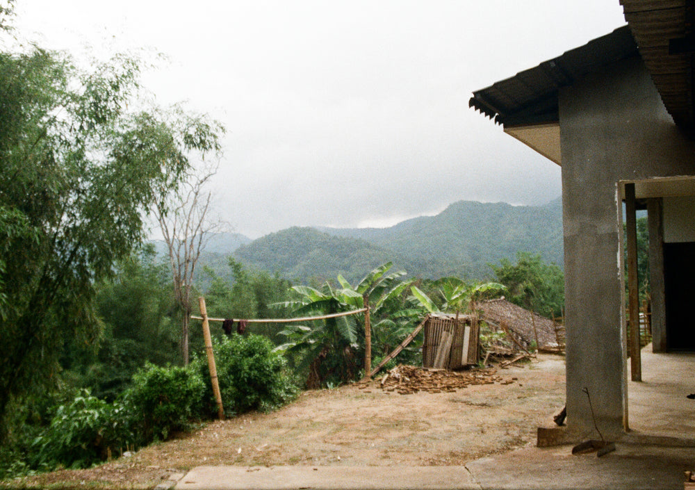 The Road to Specialty Coffee Production in Yunnan